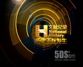 5DS 连接创意与技术的数字艺术领航者